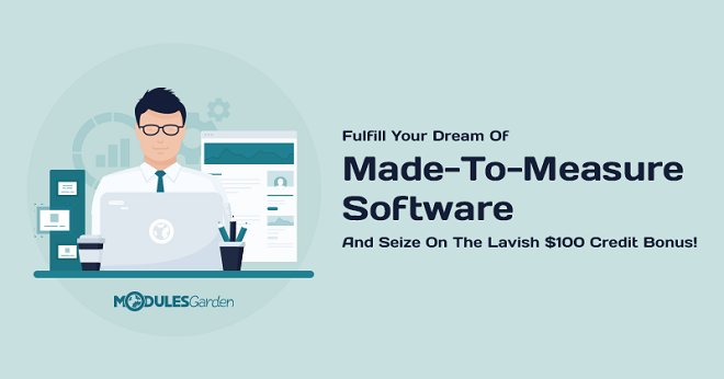 Custom Software Development Services - ModulesGarden.png